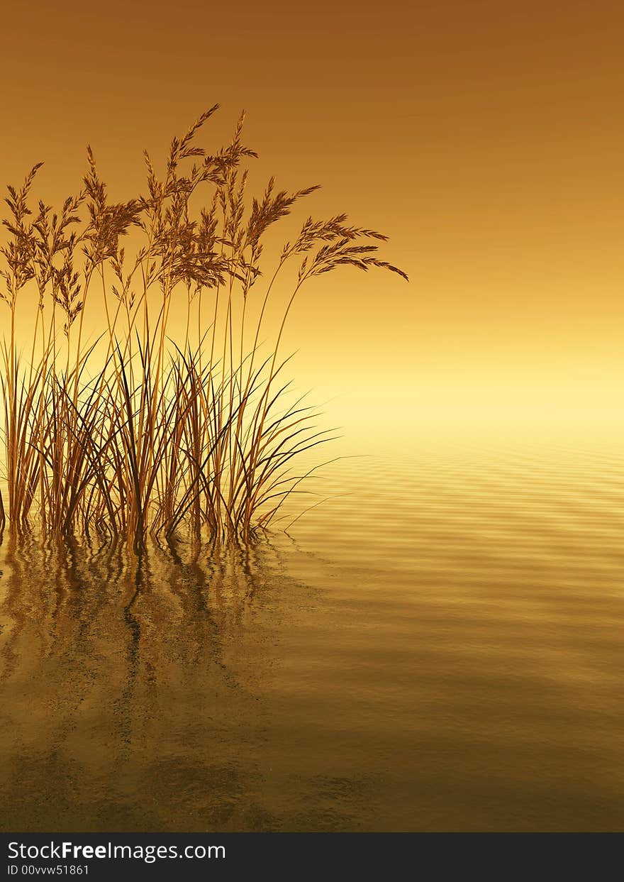 Water plants on a sea sunset  background  -  3D scene. Water plants on a sea sunset  background  -  3D scene.