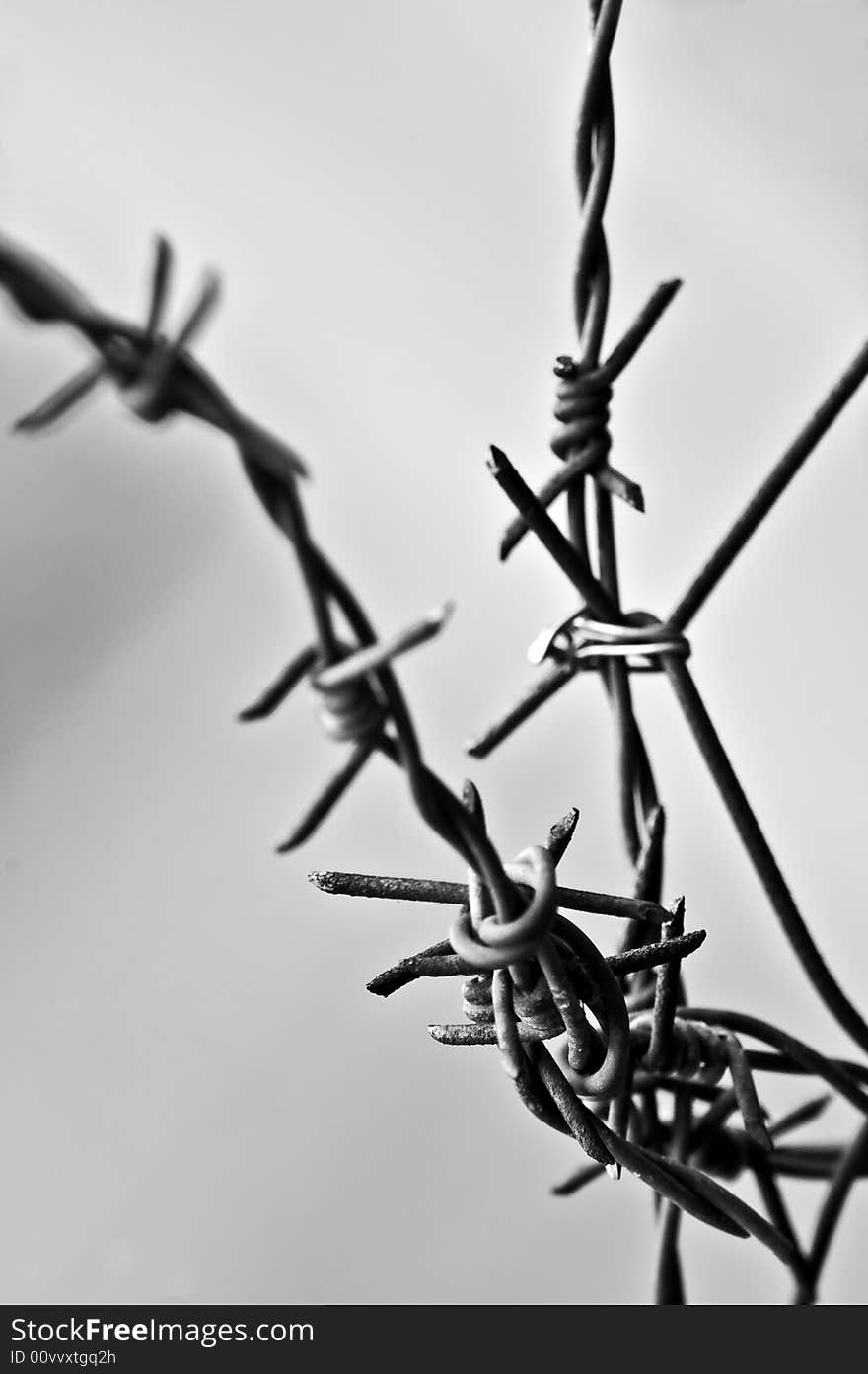 Detail prickly wire on fence. Detail prickly wire on fence