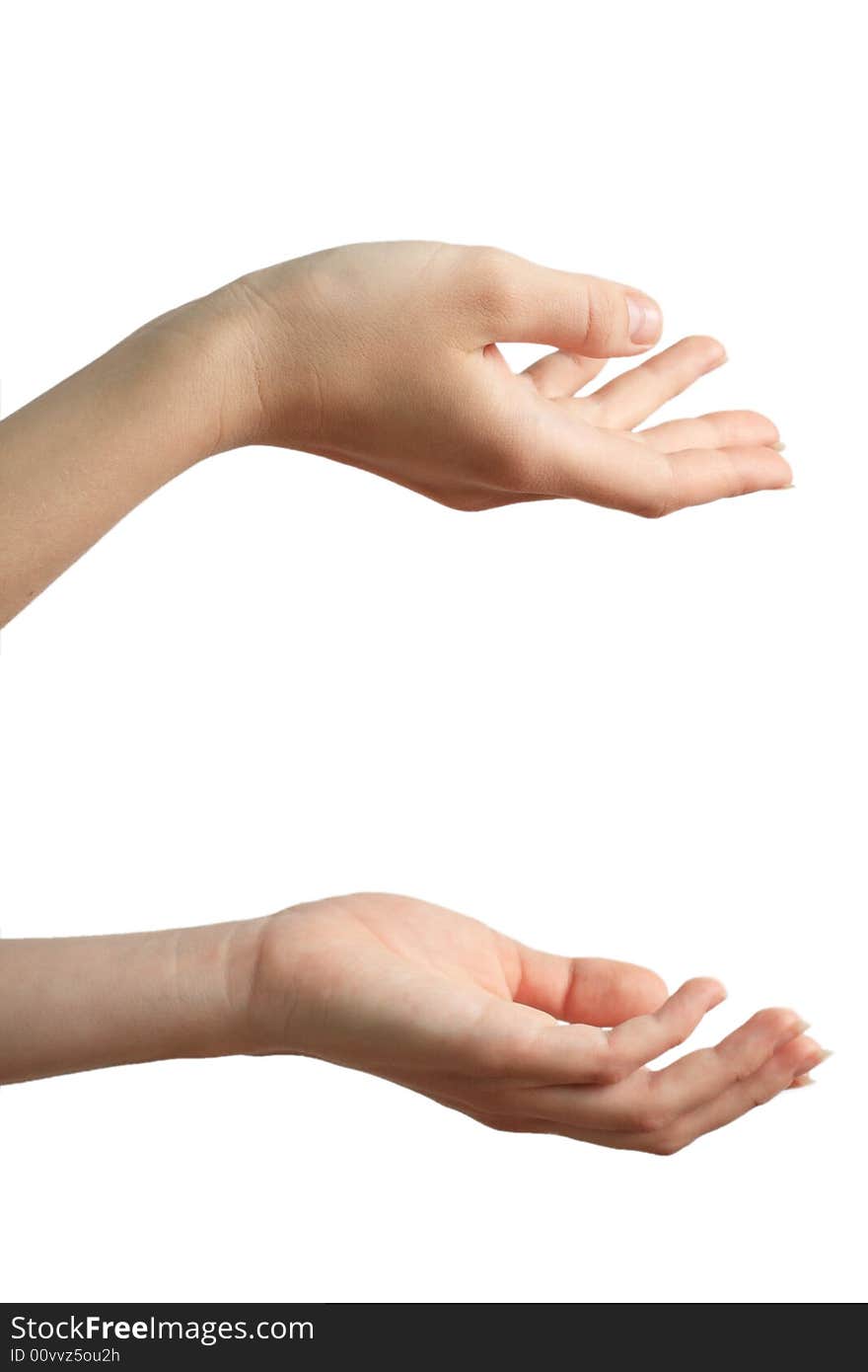 Female hands on a white background