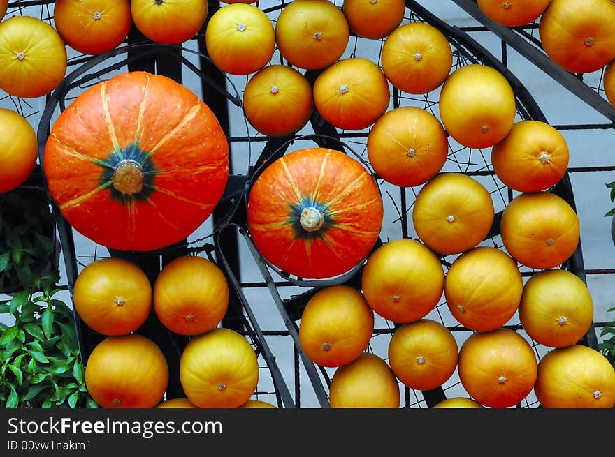 Various vegetable and melon on shelf. Various vegetable and melon on shelf