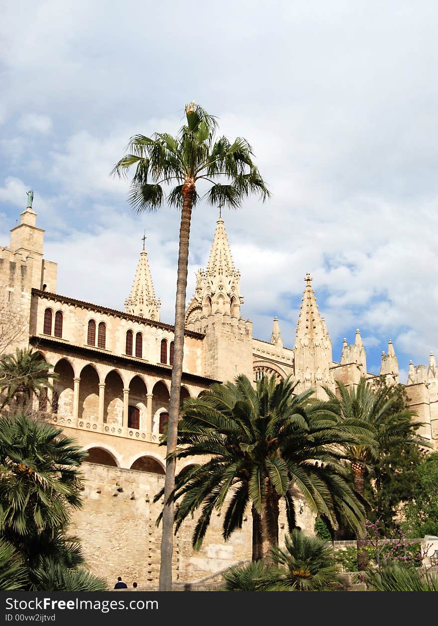 Gothic Cathedral And Palms