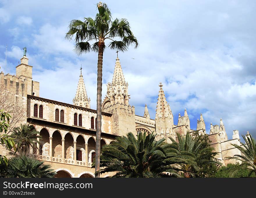 Gothic Cathedral And Palm Alley