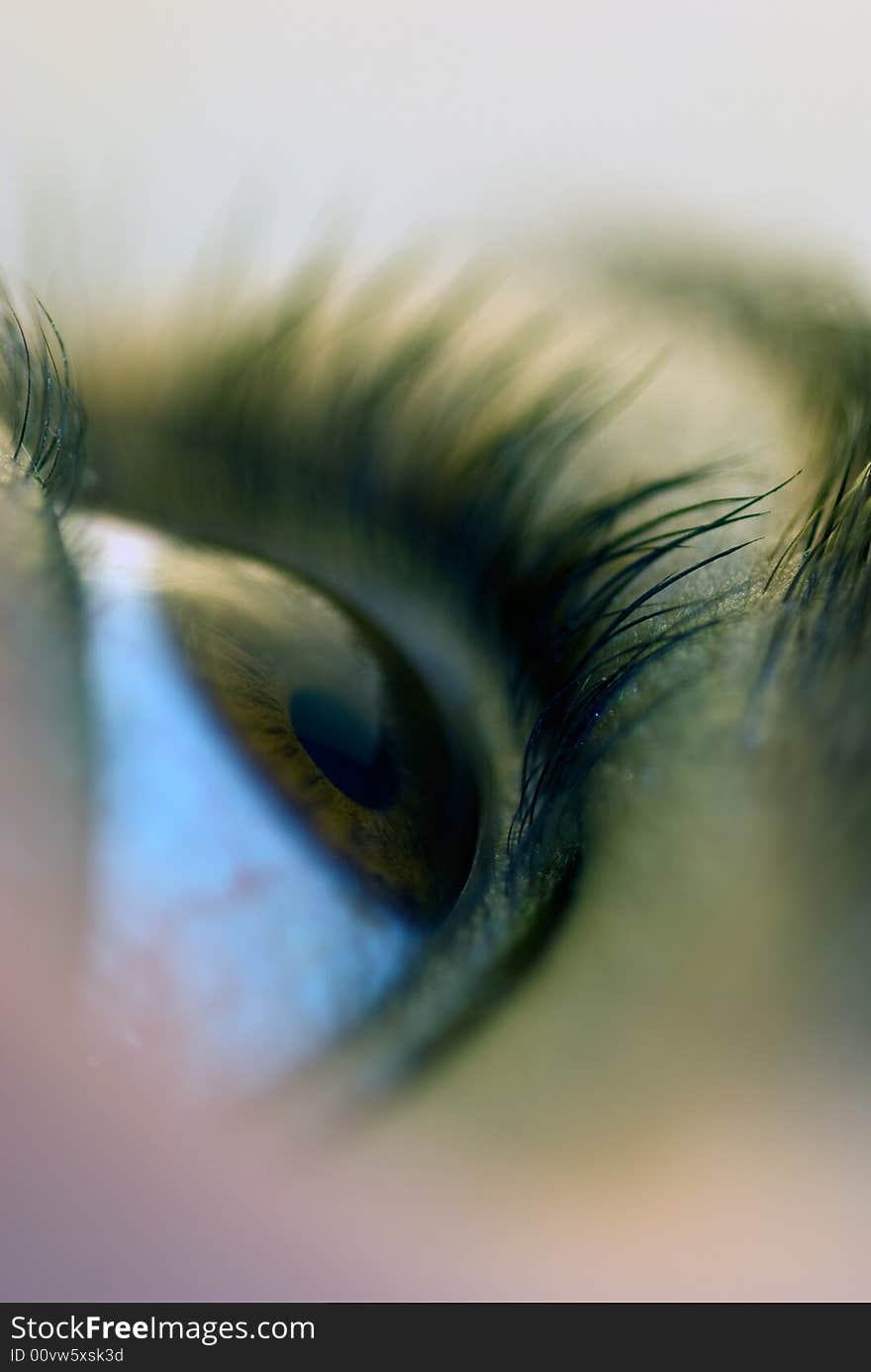 Photo of a womans eye very close up. Photo of a womans eye very close up