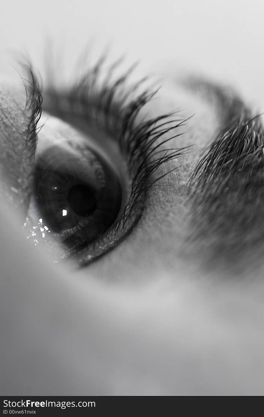 Photo of a womans eye very close up. Photo of a womans eye very close up