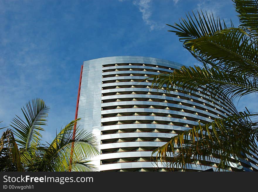 The reflection of the sky and clouds on a curved building framed by palm tree leaves. The reflection of the sky and clouds on a curved building framed by palm tree leaves.