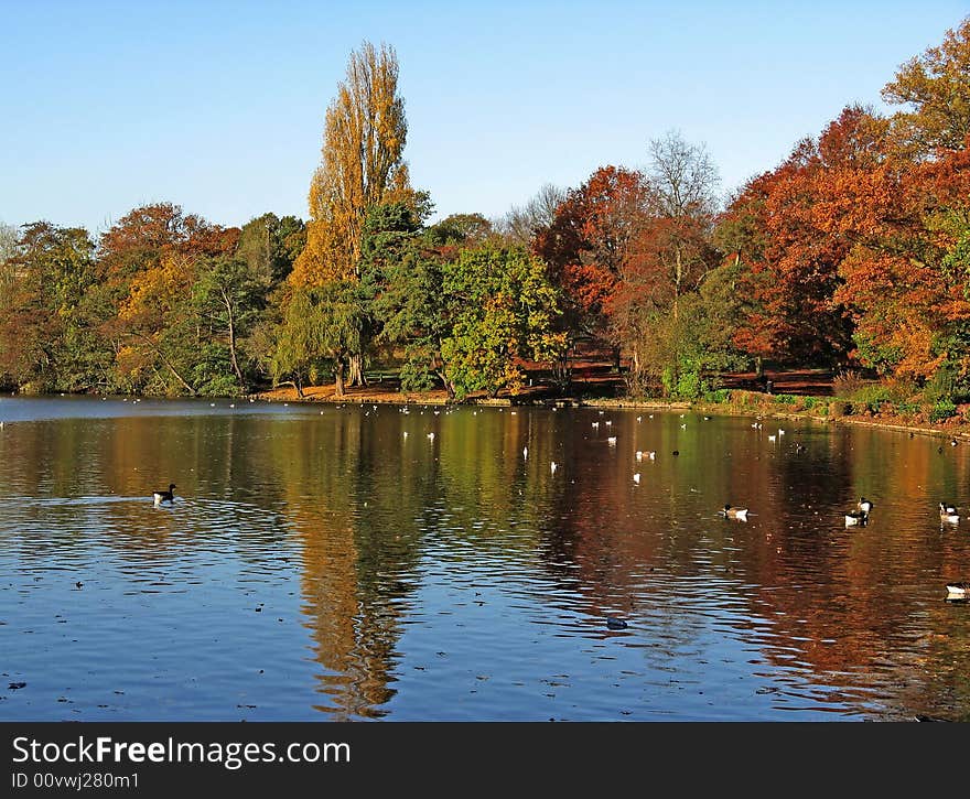 Winchmore Hill park in autumn, with lake. Winchmore Hill park in autumn, with lake