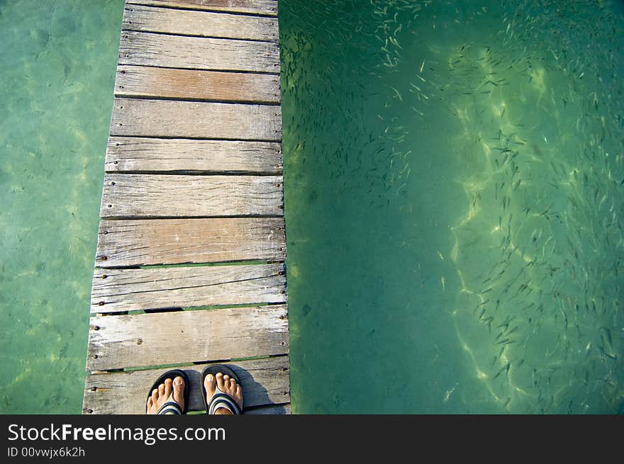 Man standing on wooden bridge on the sea with fish on both side. Man standing on wooden bridge on the sea with fish on both side