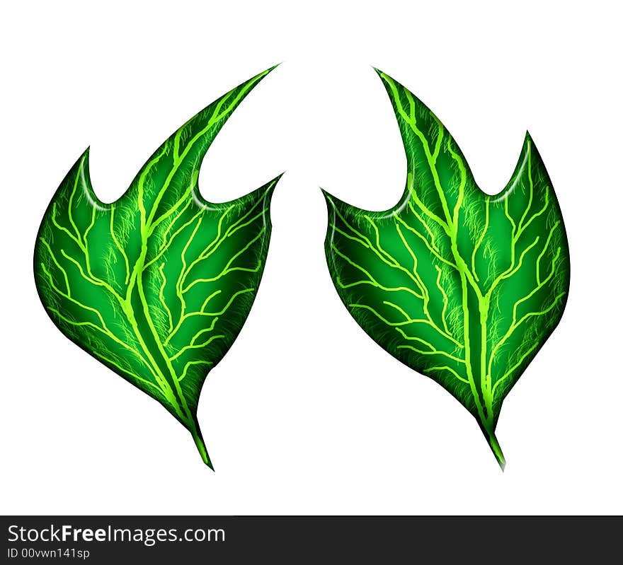 Two green leafs designed by photoshop with isolate background