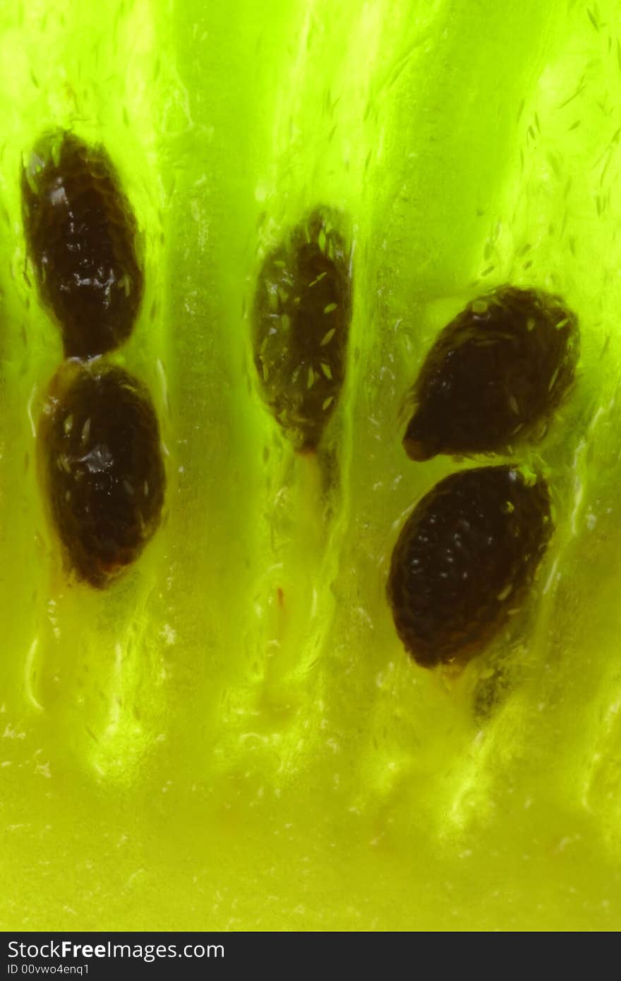 Amazing close-up of kiwi slice (5x)