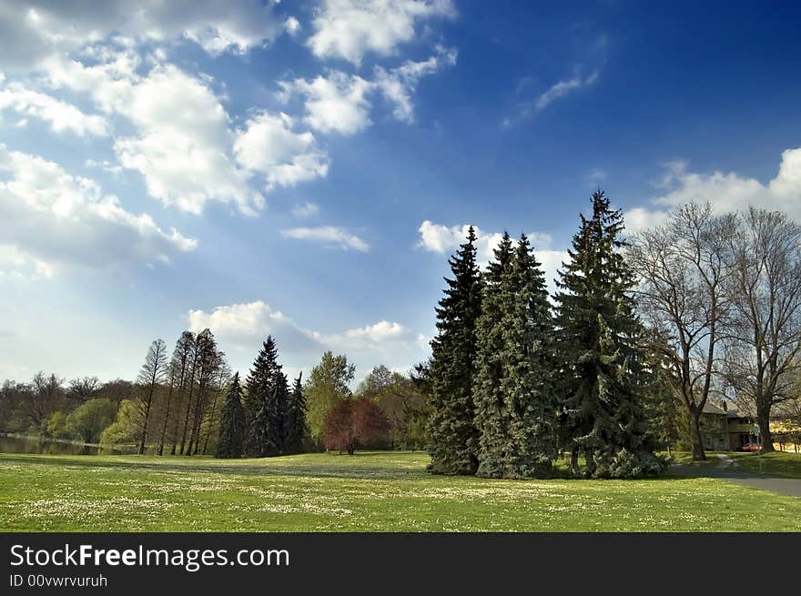 Spring Landscape