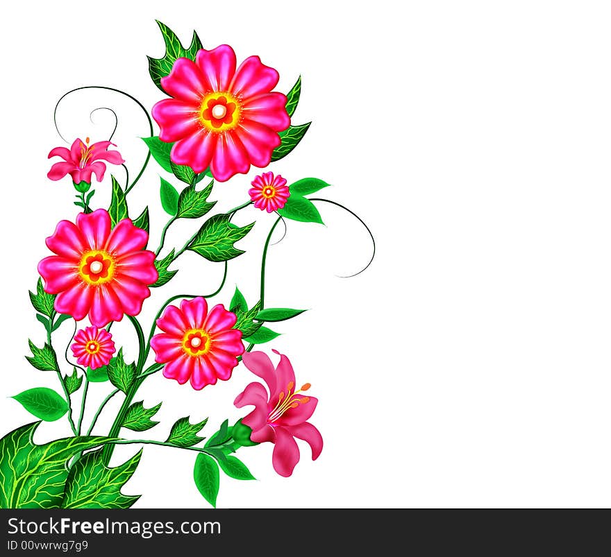 Rose pink colour flower with green leafs plant in isolate background. Rose pink colour flower with green leafs plant in isolate background