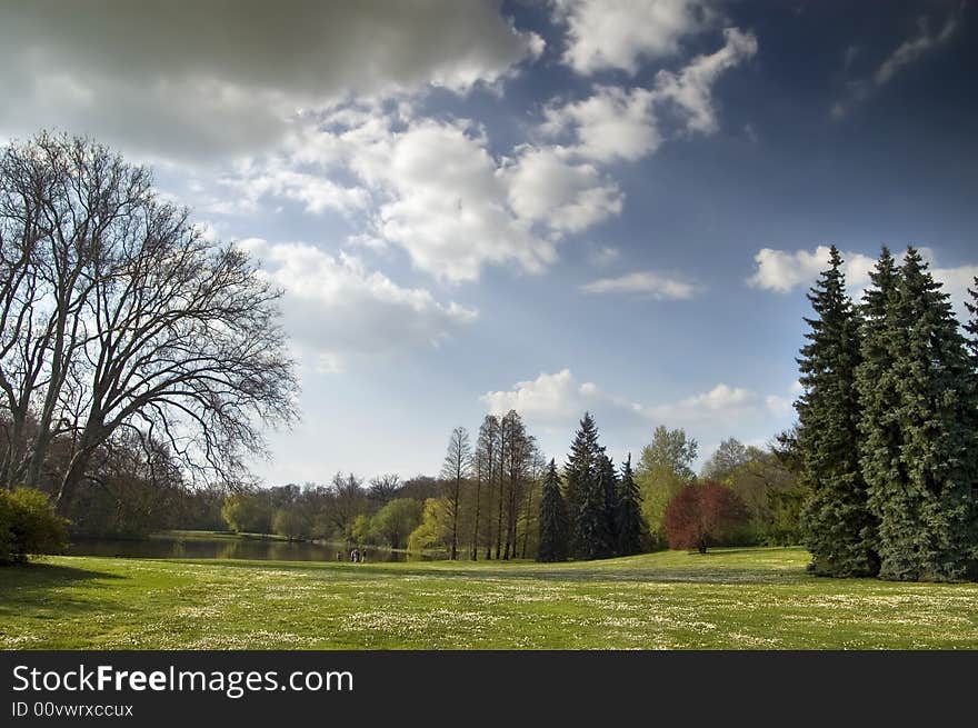 Spring Landscape