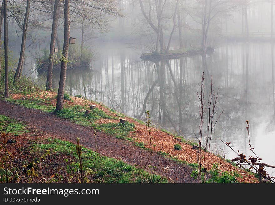 A road by lake at fog. A road by lake at fog