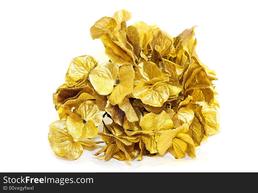 Gold leafs