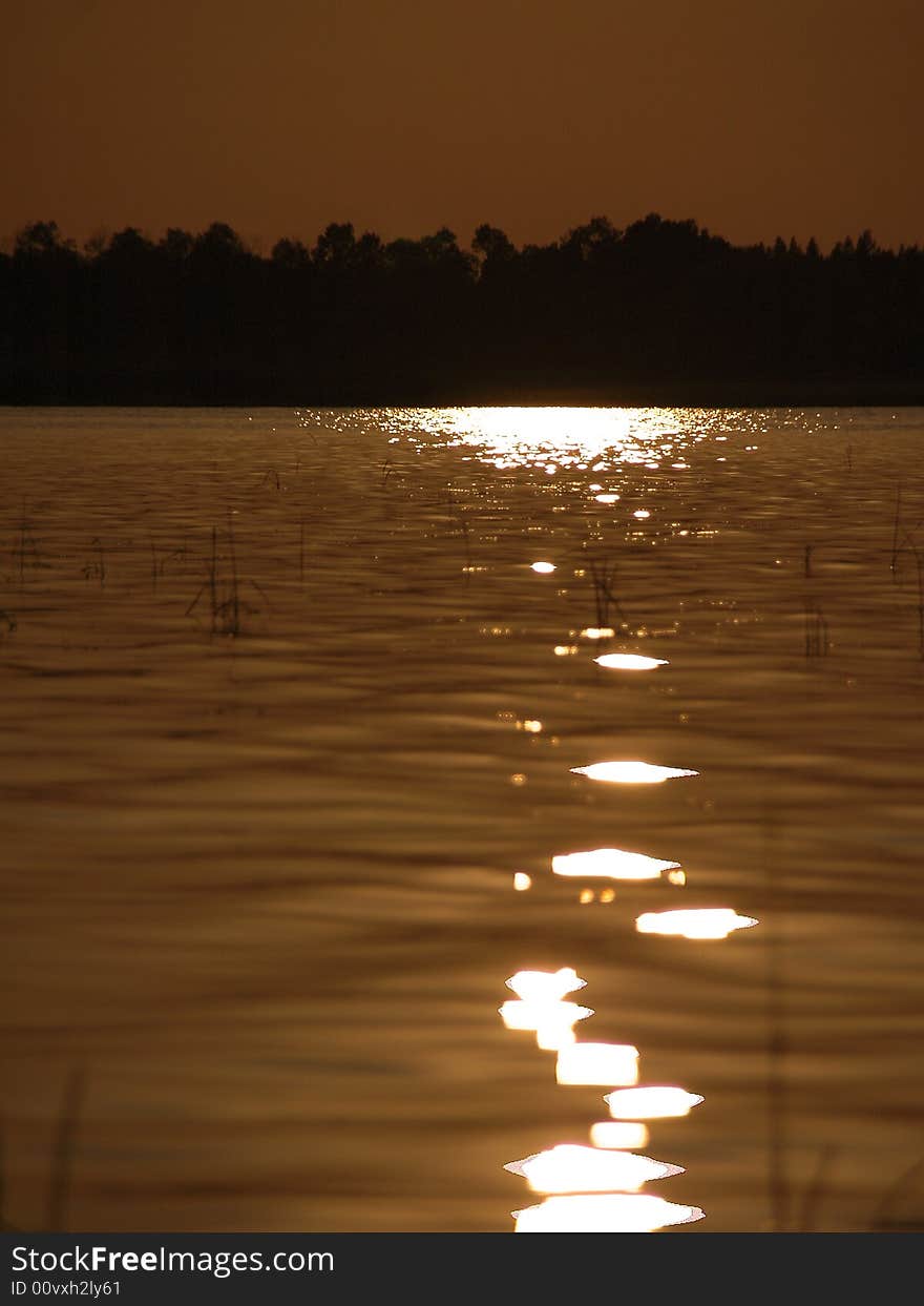 Lake Sunset water sepia trees silhouette