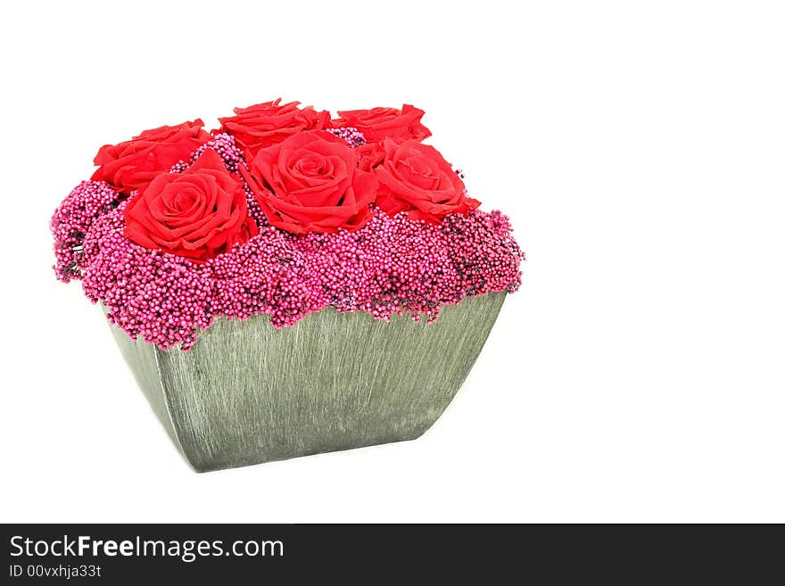 Beautiful red roses in pot isolated on white. Beautiful red roses in pot isolated on white