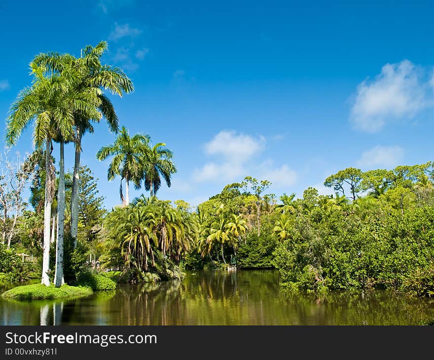 Tropical Forest and Lake.