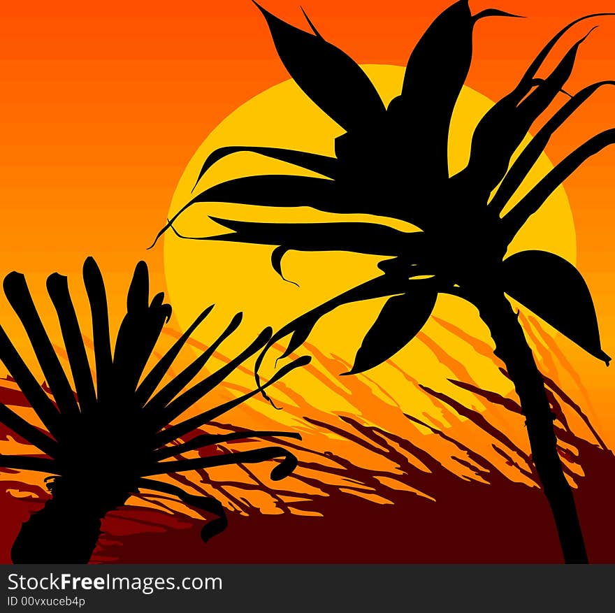 Tropical Sunset