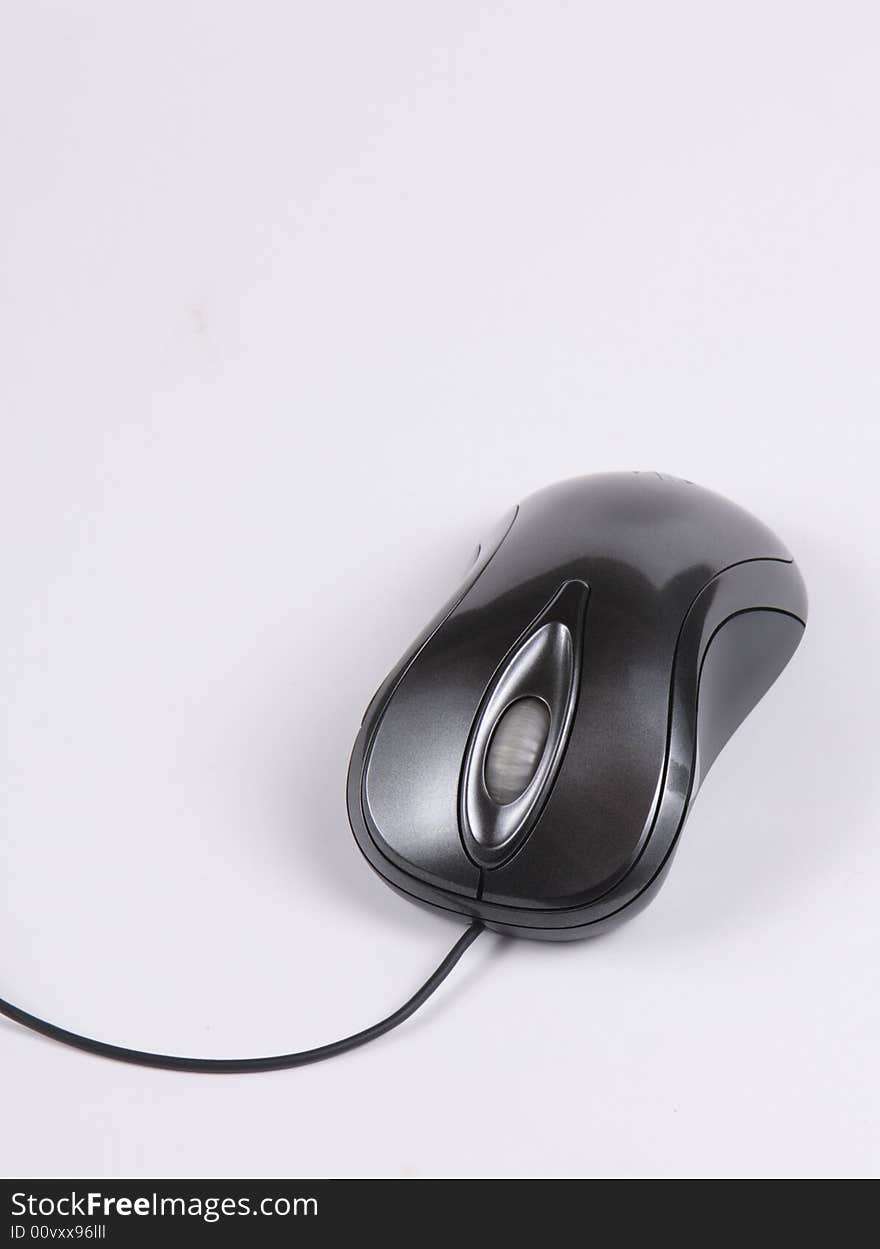 Mouse Isolated