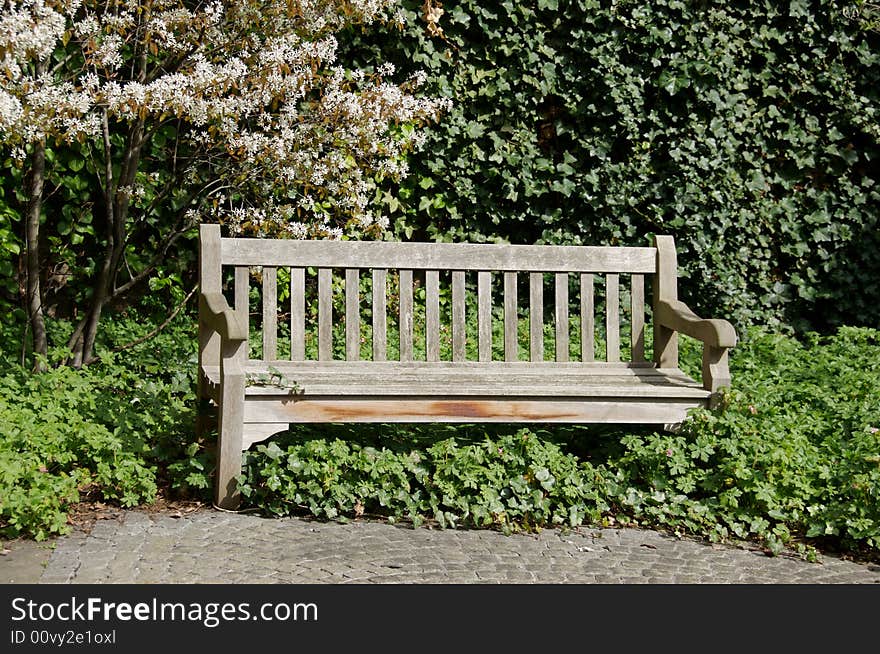 Bench in spring time