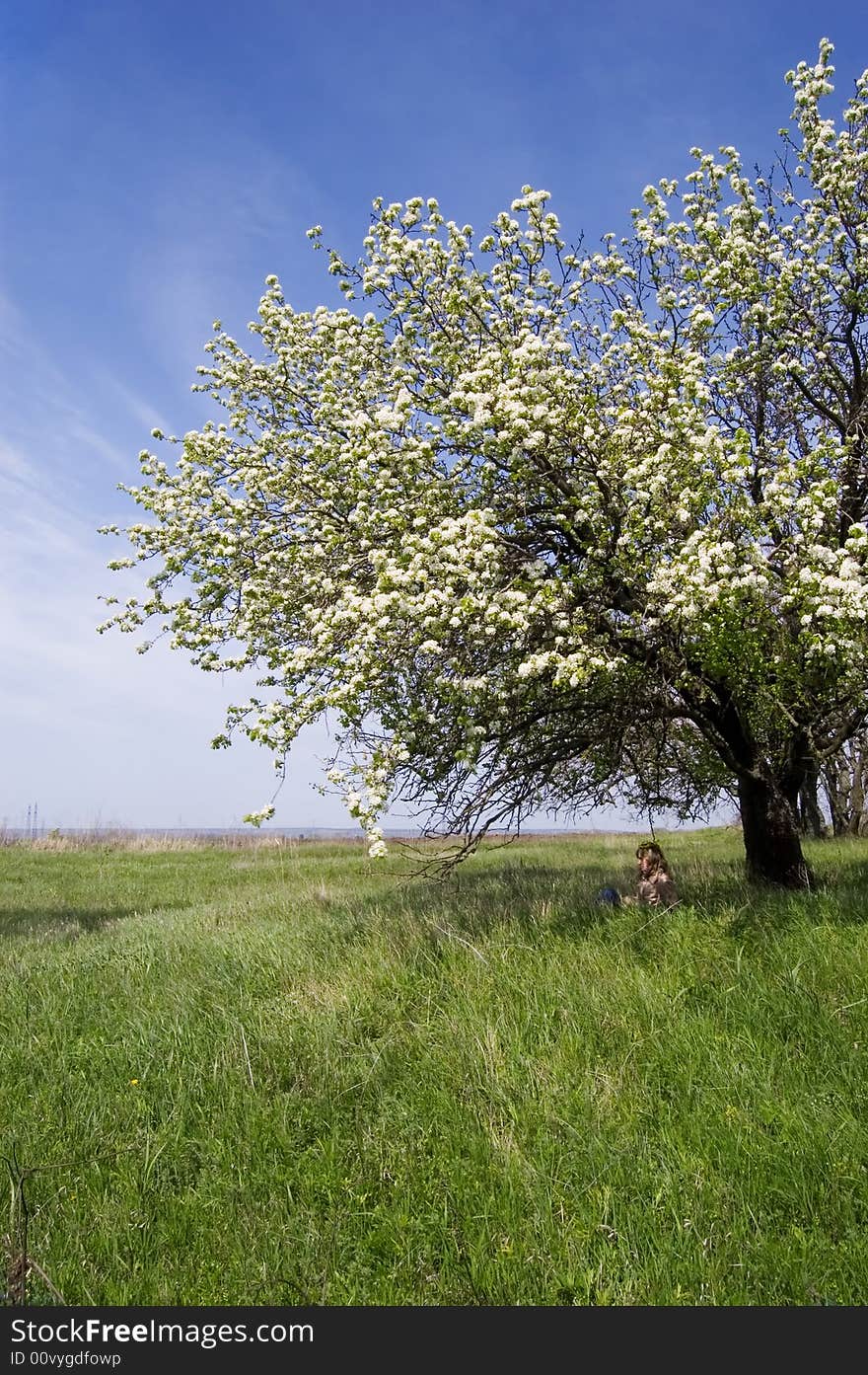 Girl in a shadow of a blossoming tree