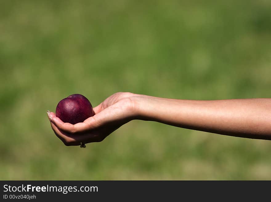 Woman offering a fruit in nature. Woman offering a fruit in nature