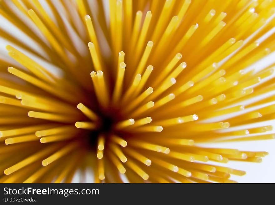 Close-up of pastes spaghetti. Close-up of pastes spaghetti