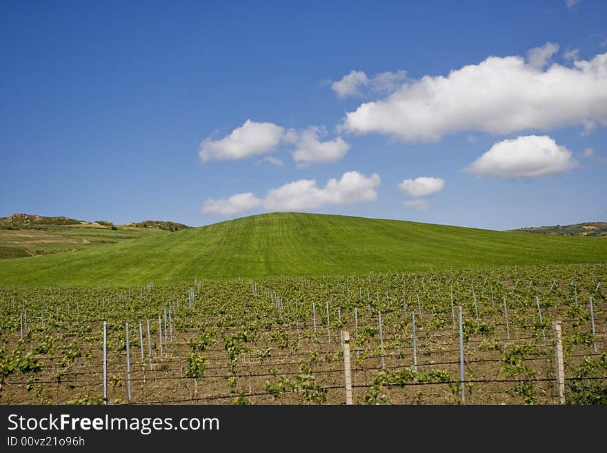 Nature landscape with sky and grass