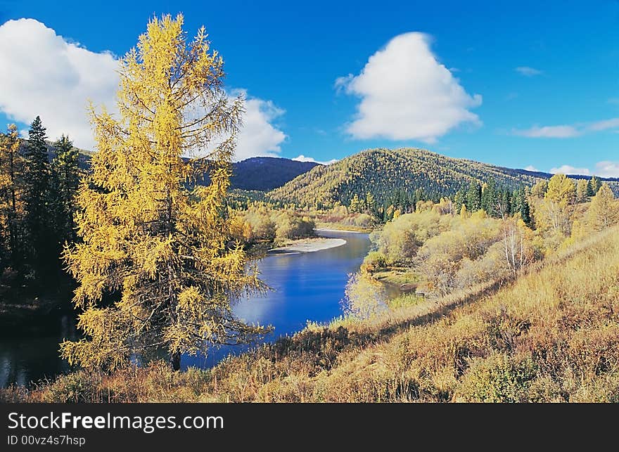 The river in mountain valley.