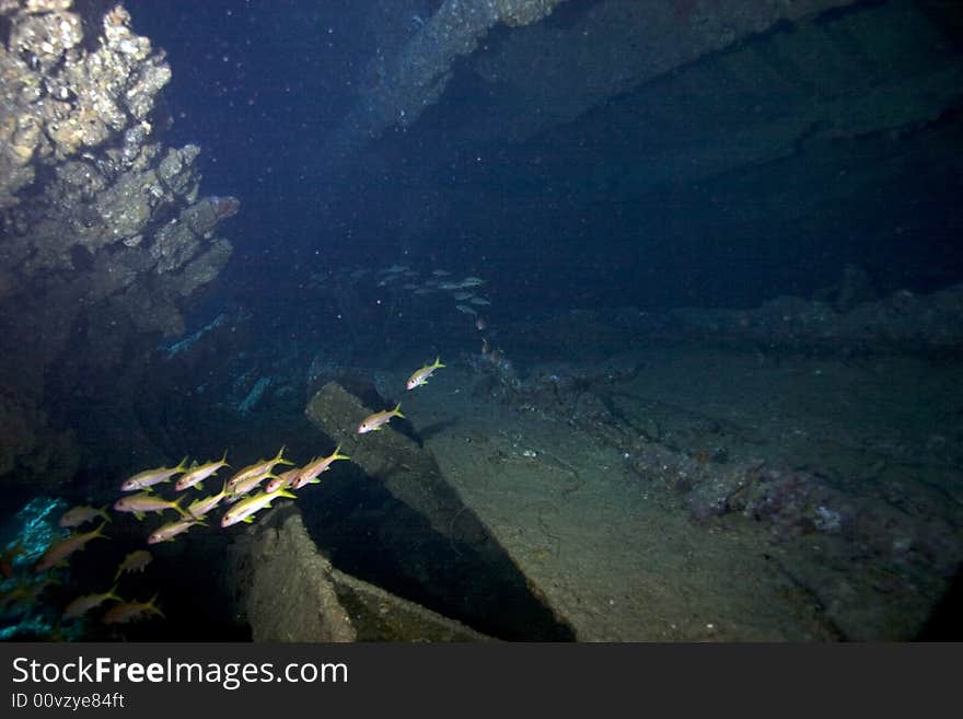 Dunraven wreck taken in the strait of gubal.