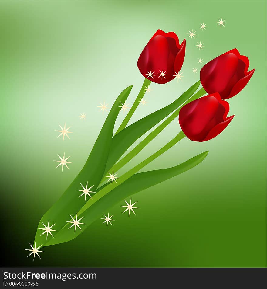 Three red tulips on green background. Three red tulips on green background