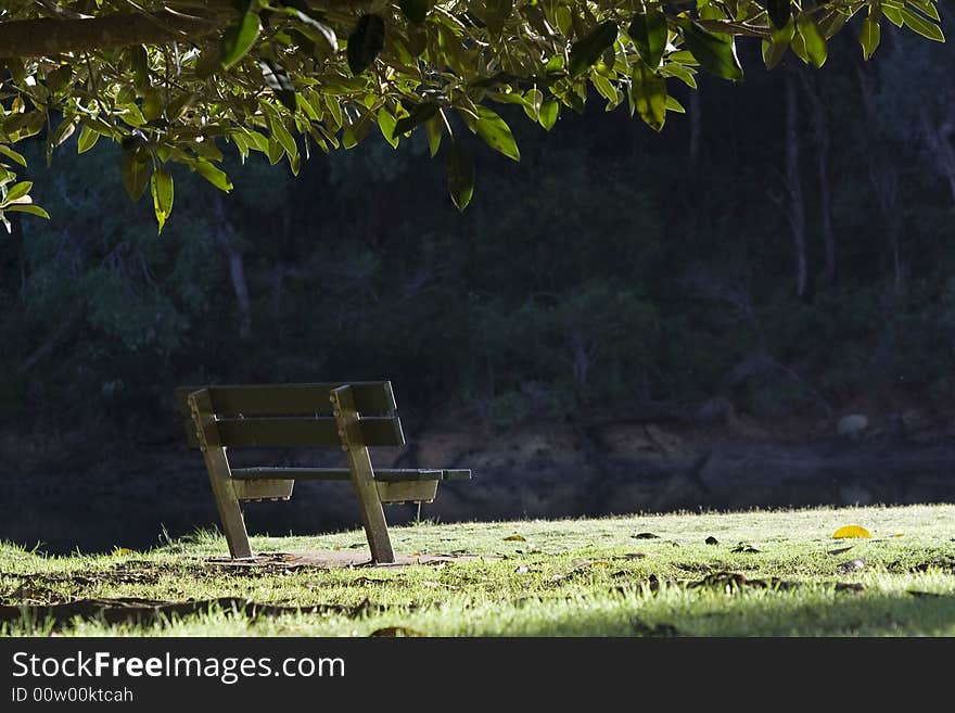 A vacant riverside bench under the tree on a sunny morning. A vacant riverside bench under the tree on a sunny morning.