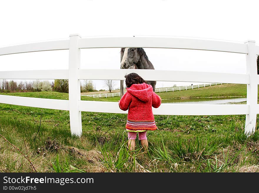 Child and horse staring at at eachother's eyes. Child and horse staring at at eachother's eyes