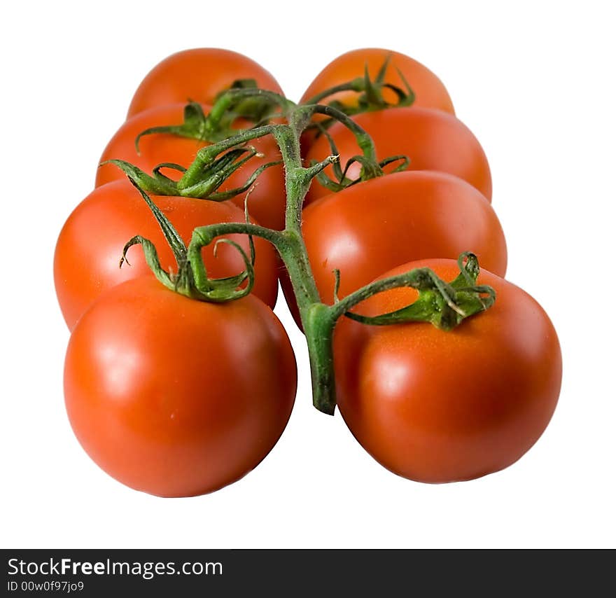 Tomato5