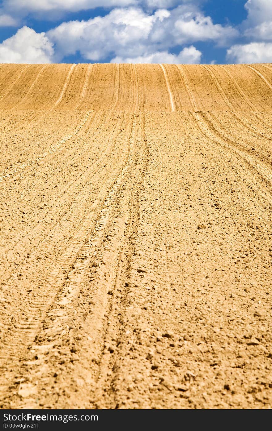 An empty cornfield in early spring. An empty cornfield in early spring.