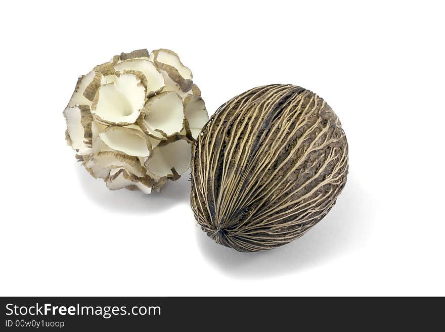 Coconut in white isolated background