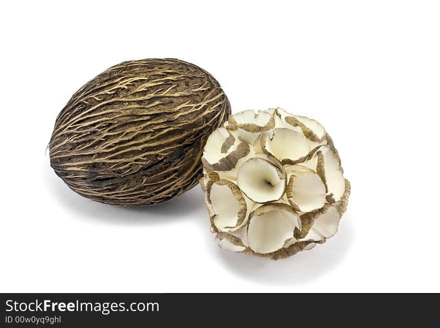 Coconut in white isolated background