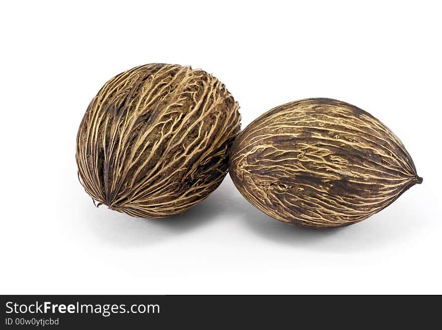 Coconut in white isolated background