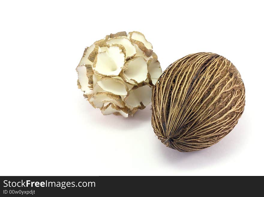 Coconut in white isolated background