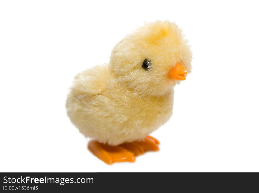 Yellow chicken on the white isolated background