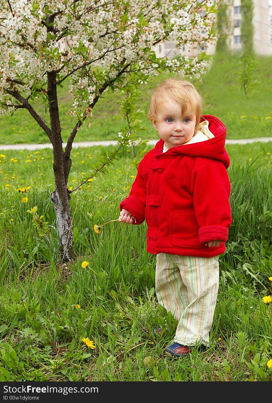 Small girl goes for a walk