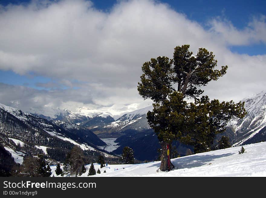 Alpine Scenery