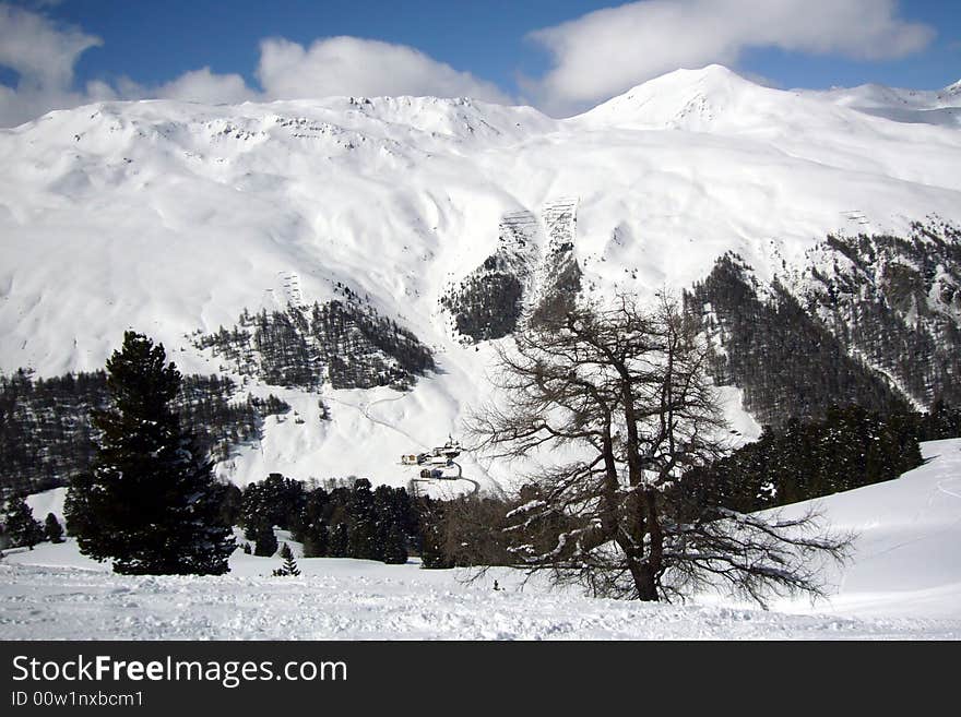 Alpine landscape and two trees in a front. Winter in the mountains, winter scenery.