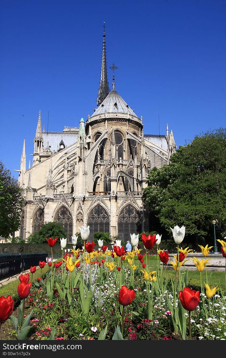 Notre Dame