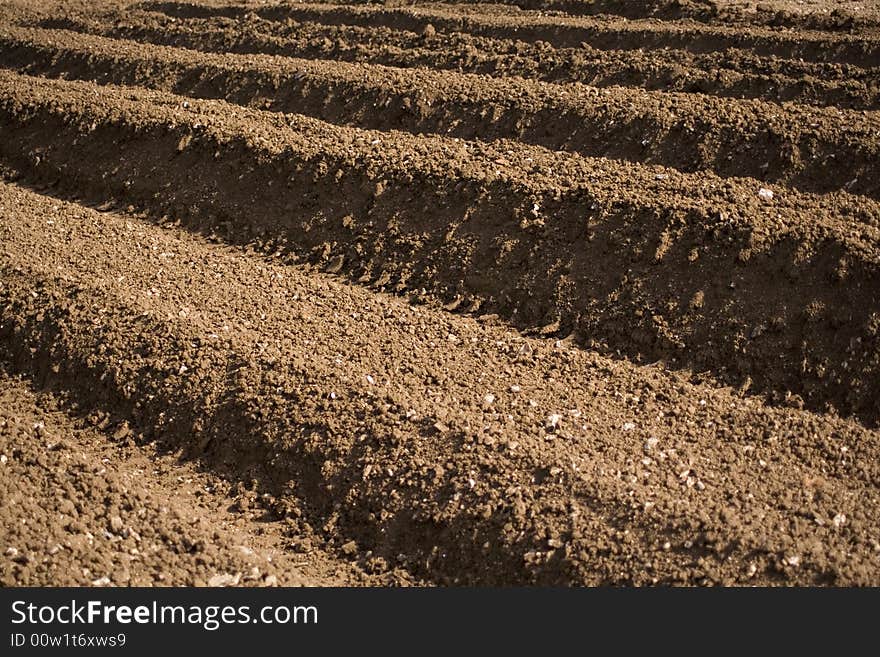 A freshly ploughed piece of farm land ready to be seeded in England. A freshly ploughed piece of farm land ready to be seeded in England.