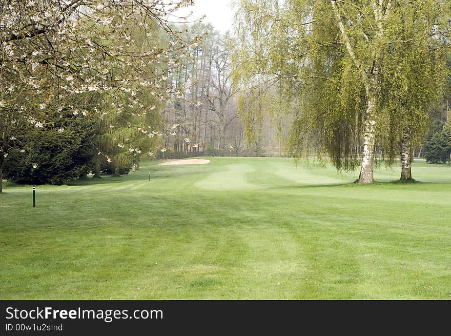 Golfing