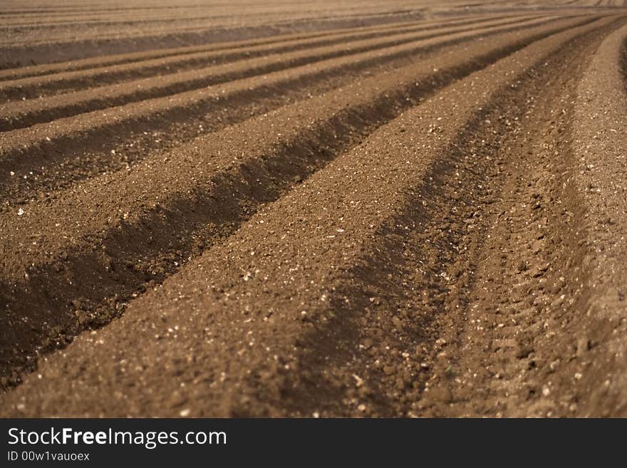 A freshly ploughed piece of farm land ready to be seeded in England. A freshly ploughed piece of farm land ready to be seeded in England.