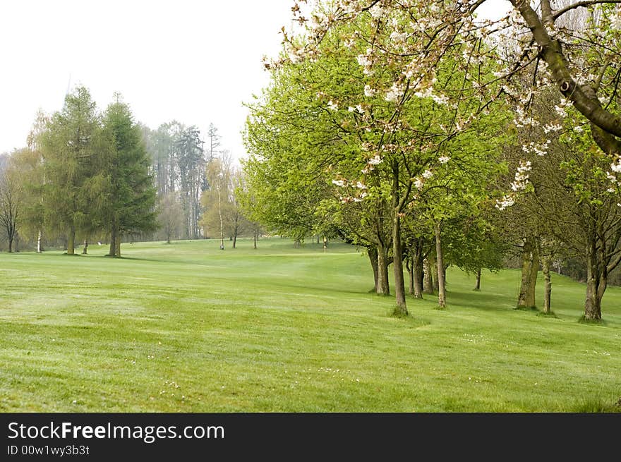 Nice golfing day at spring time early in the morning