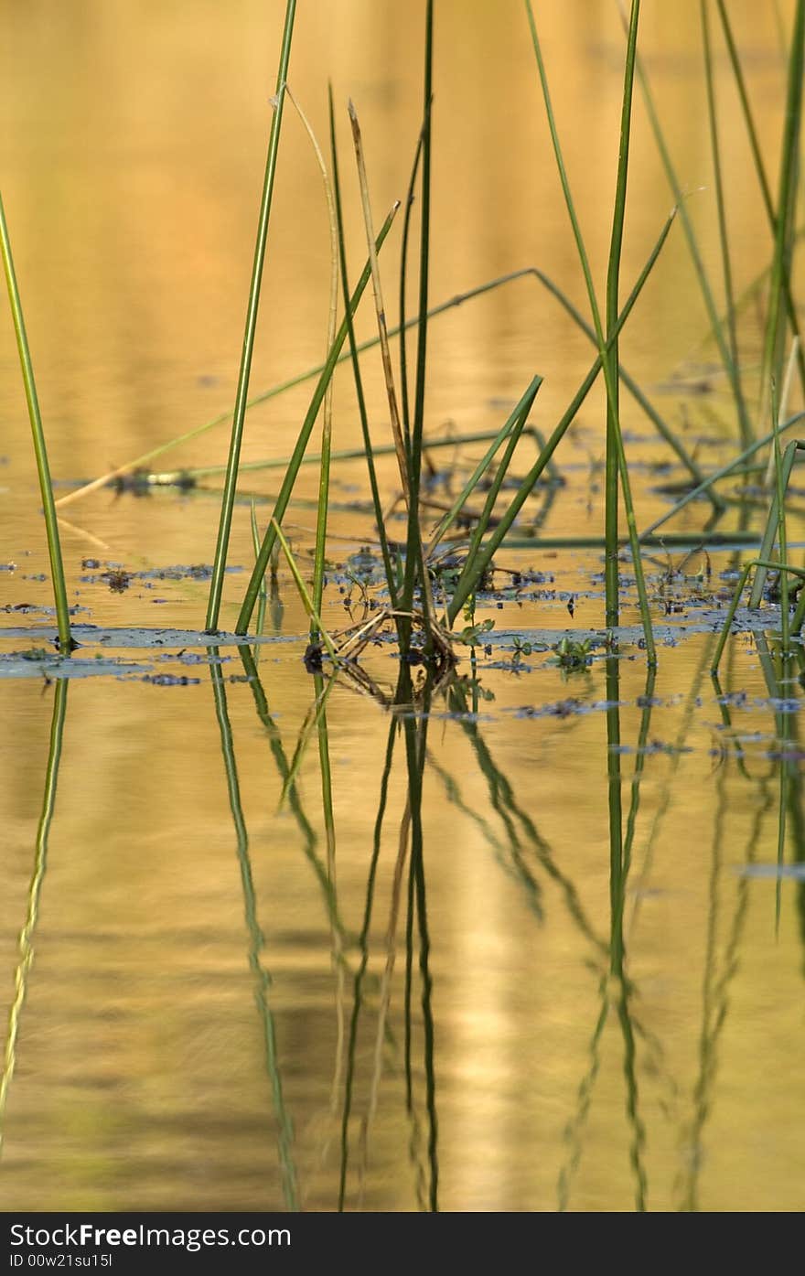 African lake before the sunset. African lake before the sunset