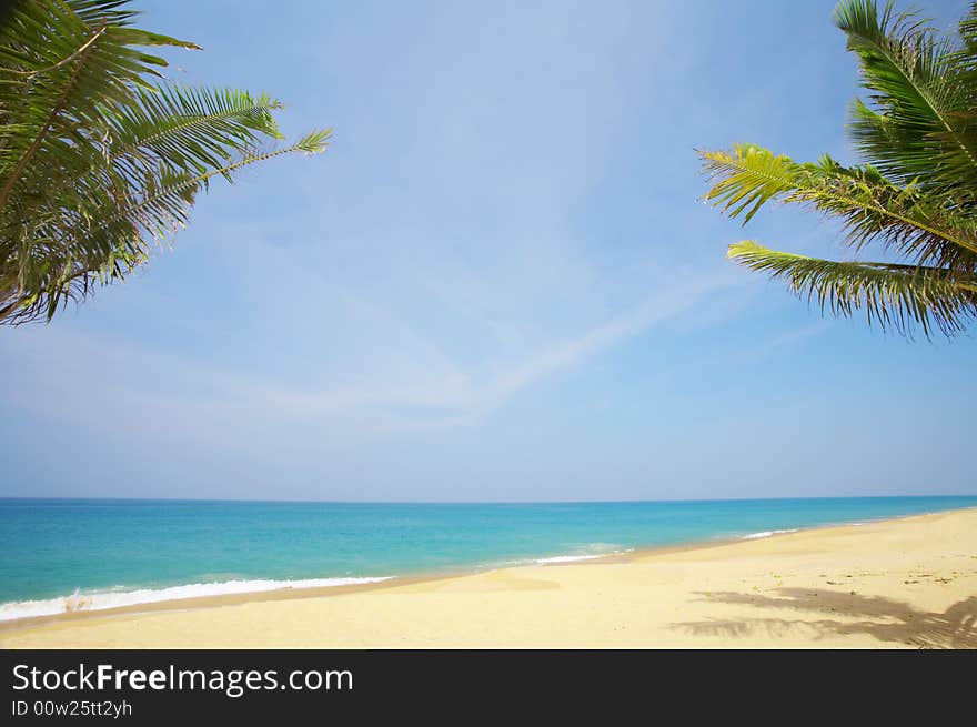 View of nice tropical empty sandy beach with some palm. View of nice tropical empty sandy beach with some palm